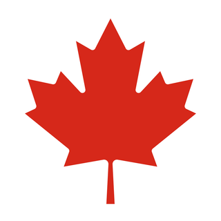 Dann's Screens And More - Screen Doors, Windows Screens, Retractable Screens projects in London Ontario and Lucan region